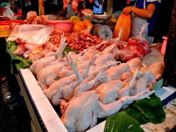 KPDNHEP mengeluarkan 50 notis kepada peniaga ayam di Perak atas pelbagai kesalahan termasuk kenaikan harga melampau. -Gambar hiasan