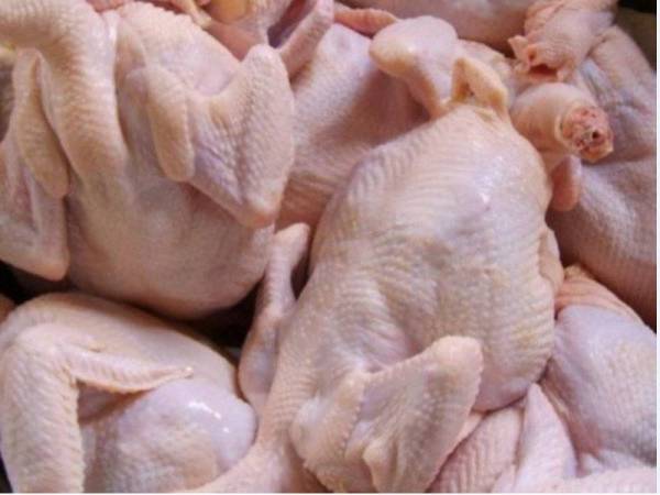 Harga ayam terkini 2021