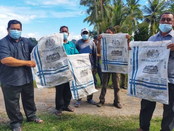 Dari kiri, Mansor dan Che Ani bersama pesawah menunjukkan beg benih padi jenis MR297 yang didakwa tiada dalam pasaran.