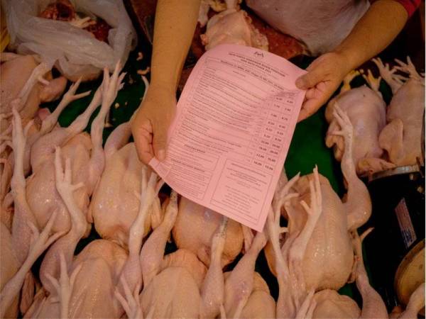 Harga ayam terkini 2021