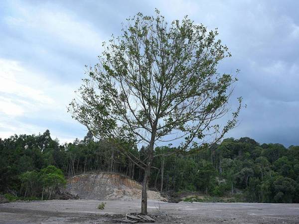 Sebuah bukit yang digondolkan dipercayai untuk pembangunan ketika tinjauan sempena Hari Bumi Sedunia, hari ini.