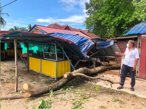 Pokok besar yang tumbang di belakang rumah Mohd Fauzi.