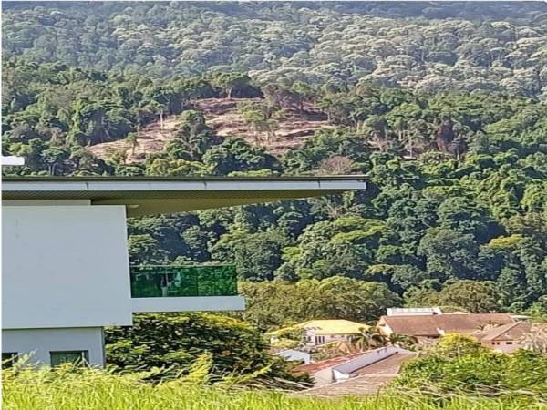 Penerokaan tanah bukit di Batu Ferringhi, berhampiran Persiaran Sungai Emas 3.