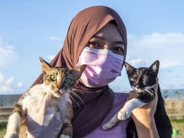 Nor Izyan Syahida bersama kucing yang diberi nama Jingga (kiri) dan Tammy yang merupakan sebahagian kucing jalanan yang diberi makanan dan rawatan olehnya di Pantai Cahaya Bulan. - Foto Bernama