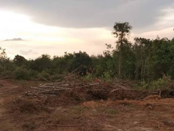 Tapak pembinaan surau dan asrama Maahad Tahfiz Al-Quran Al-Fateh di Kampung Tembak B, Teloi Kanan, Baling, Kedah.