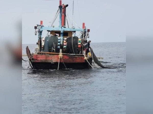 Tekong dan kru serta bot ditahan dalam satu operasi di Pulau Batu Putih di sini pada Ahad.