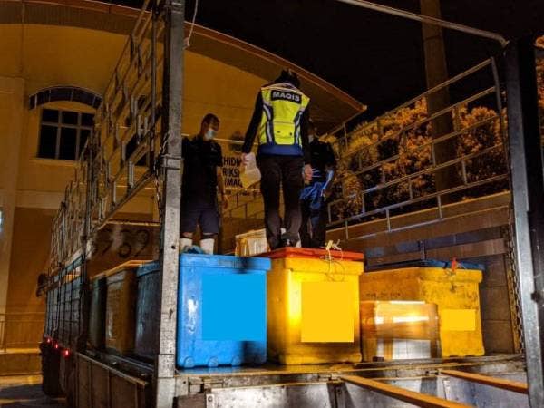 Maqis menggagalkan cubaan sebuah lori membawa keluar ikan basah ke Singapura tanpa permit import yang sah di Kompleks Sultan Abu Bakar pada Ahad.