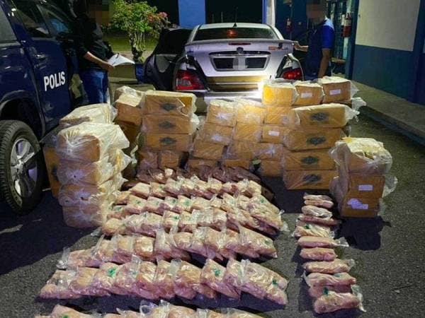 Siasatan awal mendapati daging ayam beku itu untuk pasaran tempatan menjelang sambutan Hari Raya Aidilfitri.