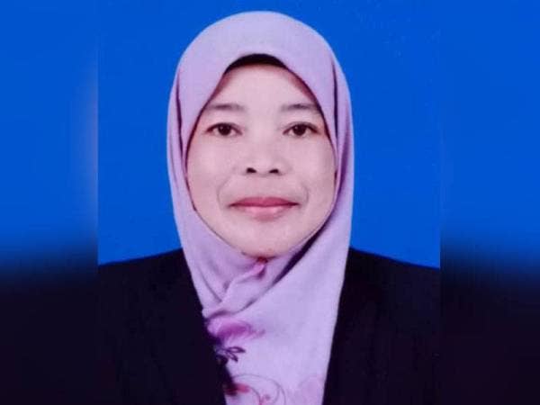 Wan Nor Aini Wan Mahmood