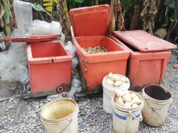 Lokasi serbuan ketiga membabitkan penemuan 168 bungkus plastik lutsinar berisi cecair disyaki air ketum.