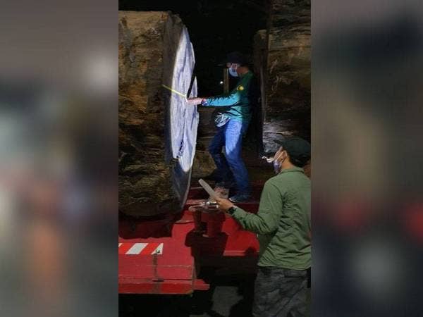 Anggota JPNP melakukan pemeriksaan ke atas balak yang dibawa menggunakan sebuah treler yang tular sebelum mendapati ia dipindahkan secara sah dari Terengganu ke Selangor. - JPNP