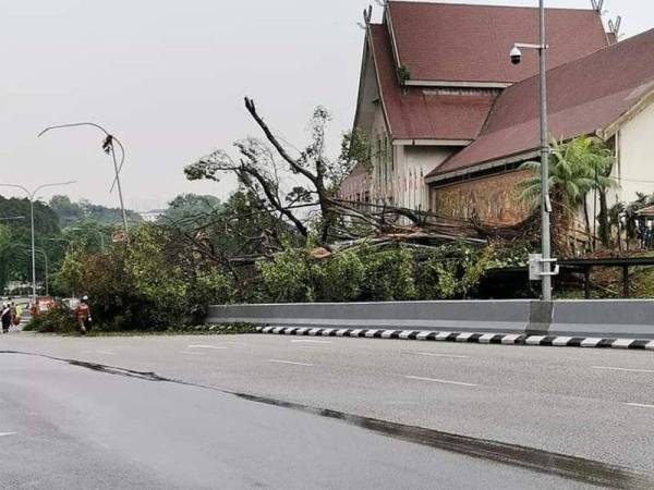 Foto tular di media sosial memaparkan kejadian pokok tumbang di hadapan Muzium Negara pada petang Khamis.