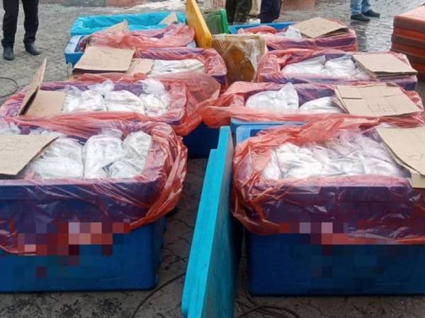 Sebahagian daripada ikan dari Indonesia yang ditahan kerana dibawa masuk tanpa permit import. (Foto: Maqis)