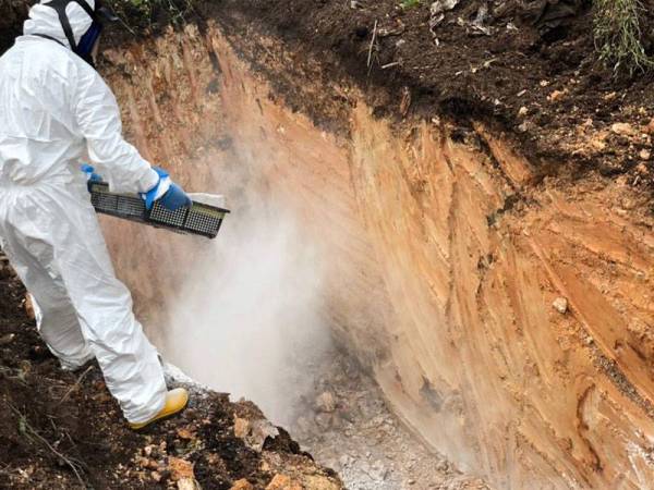 Kesemua burung yang dirampas dilupuskan mengikut Prosedur Operasi Piawaian ditetapkan.