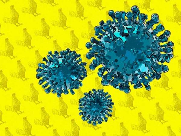 H10N3 dianggap sebagai patogenik berisiko rendah kerana tidak berpotensi menyebabkan kematian atau penyakit teruk pada burung. - Foto Agensi