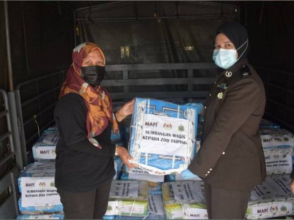 Noriah (kanan) menyerahkan daging kerbau sejuk beku kepada wakil Zoo Taiping, Mazwin Marjan pada Rabu.