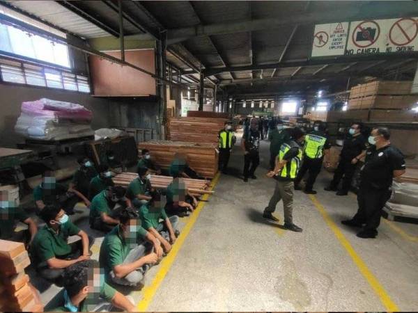 Pemeriksaan polis mendapati sebuah kilang kayu beroperasi dengan menipu pengisytiharan operasi perniagaan. - Foto ihsan PDRM