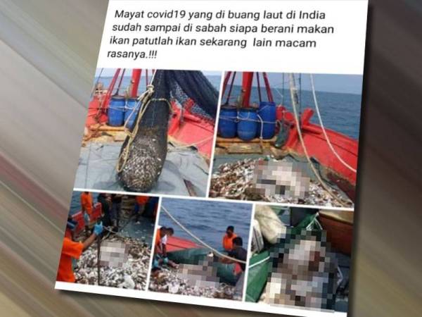 Baru-baru ini, seorang pengguna media sosial berkongsi gambar sekumpulan nelayan yang menangkap ikan dengan kapsyen ‘Mayat Covid-19 yang dibuang laut di India sudah sampai di Sabah.