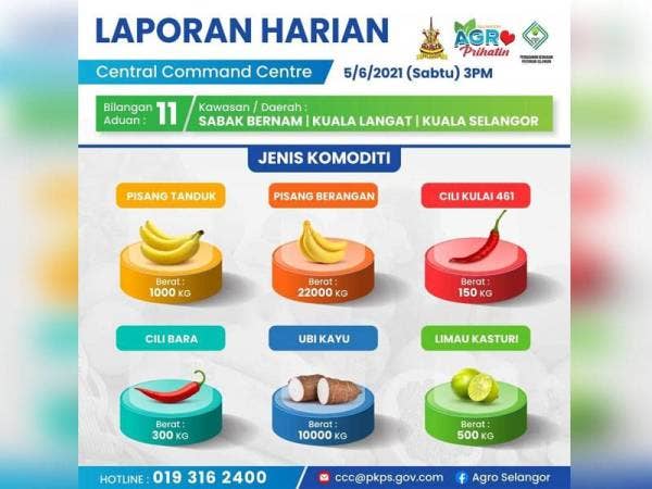 Lakaran grafik menunjukkan lambakan hasil pertanian dialami di tiga daerah di negeri Selangor.