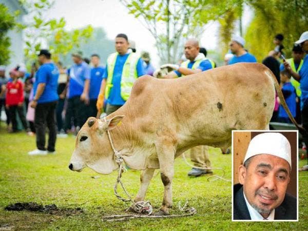 Kelantan tidak menggalakkan ibadah korban di jalankan ketika Hari Raya Aidiladha dalam usaha mengekang penularan Covid-19 memandangkan ia akan melibatkan aktiviti berkumpulan. Foto kecil: Dr Izani