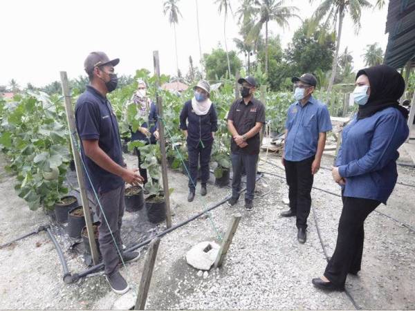 Ronald (tiga dari kanan) meninjau projek tanaman fertigasi tembikai 'rock melon' di PPK Bernam Jaya, Sabak Bernam pada Sabtu.