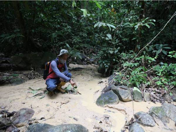 Mohammad Nazrin menunjukkan keadaan sebatang anak sungai yang keruh disebabkan penyelenggaraan jalan di Puncak Janing.