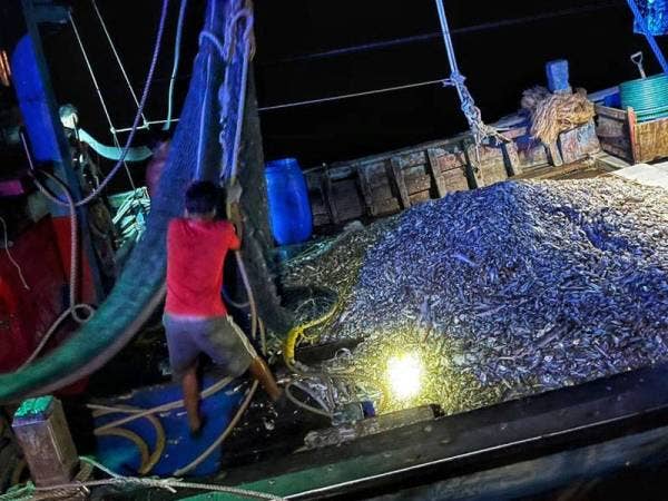 Antara tangkapan ikan yang berjaya dinaikkan kru bot berkenaan.