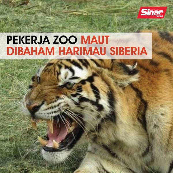 cover-harimau