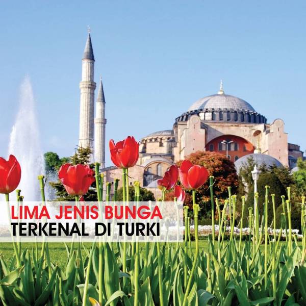 NEWS-SLIDER-MUKA-DEPAN