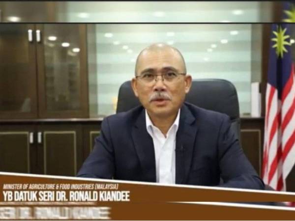 Ronald ketika mengetuai delegasi ke persidangan FAO ke-42 yang diadakan secara maya di Rome, Itali pada 14 hingga 18 Jun lalu.