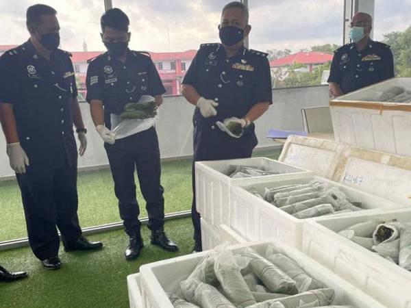 Mohd Said (dua dari kanan) menunjukkan daun ketum yang dirampas pada sidang akhbar di Ibu Pejabat Polis daerah Seremban pada Jumaat.