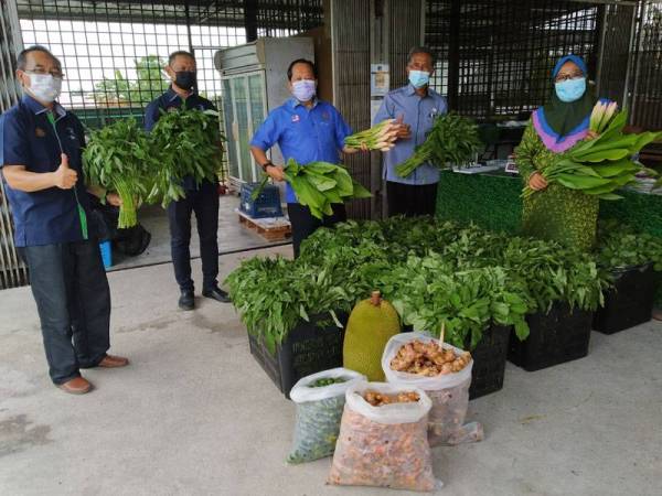 Ahmad ( tengah) melawat Peladang Outlet di PPK Ayer Baloi pada Ahad.