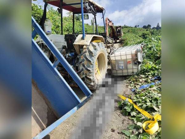 Mangsa maut digilis jentolak dalam kejadian di ladang pertanian Jalan Klawang pada Ahad.