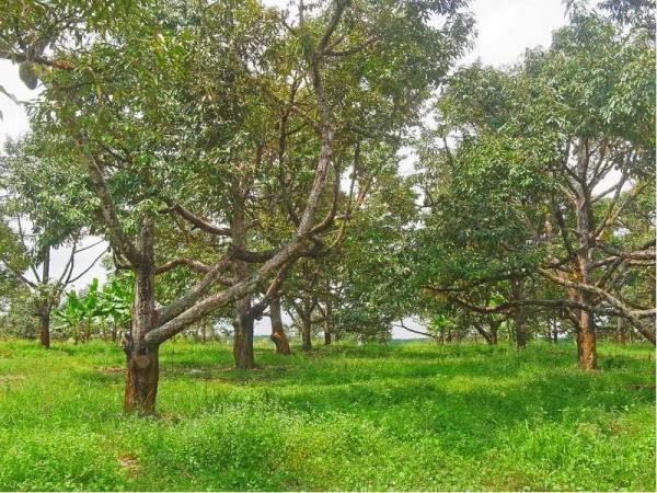 Gambar hiasan -Foto 123rf