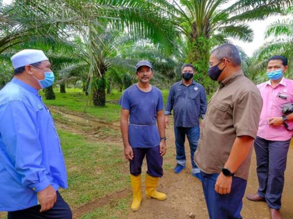 Dr Azman (dua dari kanan) serta ADUN Paka, Satiful Bahri Mamat (kiri) meninjau keadaan lokasi yang menjadi sasaran harimau. - Foto Ihsan Facebook Dr Azman.