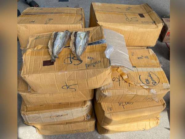 Pemandu didapati gagal mengemukakan sebarang dokumen melibatkan barangan yang dibawa.