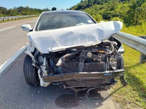 Keadaan kereta dipandu guru wanita berusia 30-an rosak teruk selepas merempuh haiwan liar berkenaan dilokasi.