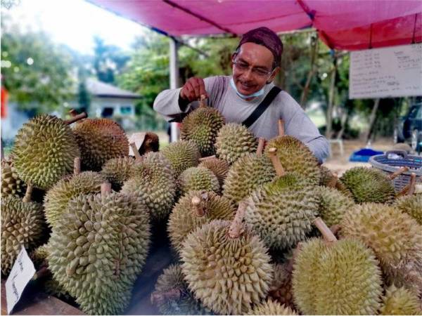 Zain menyusun buah durian yang dijual di gerainya di Kampung Rawa, Lenggeng.