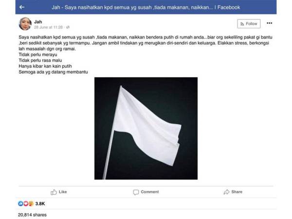 Gambar menunjukkan hantaran pertama Nik Faizah yang tular di media sosial berkenaan kempen bendera putih pada 28 Jun lalu.