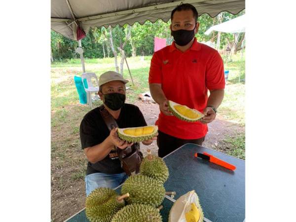 Mohd Lutfi (kiri) dan Mohd Nazmin sentiasa memastikan durian dihasilkan komuniti MKTM terjaga dan berkualiti.