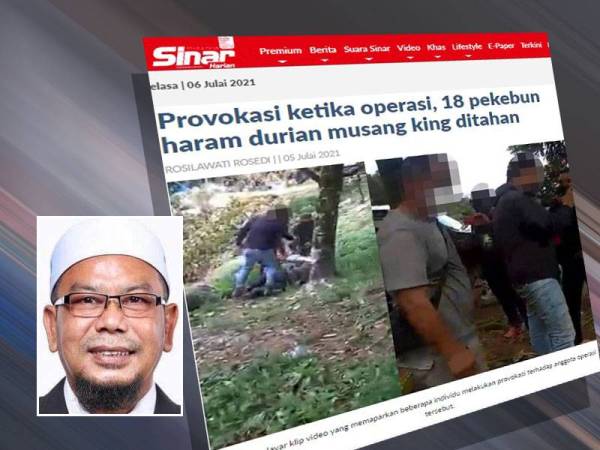 Seramai 18 individu dipercayai pekebun haram durian musang king ditahan selepas melakukan provokasi ketika operasi penguatkuasaan JPNP di HSK Batu Talam pada Ahad. Gambar kecil: Rosli
