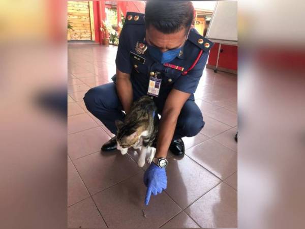 Shuib menunjukkan mata kail yang berjaya dikeluarkan. - Foto Ihsan JBPM