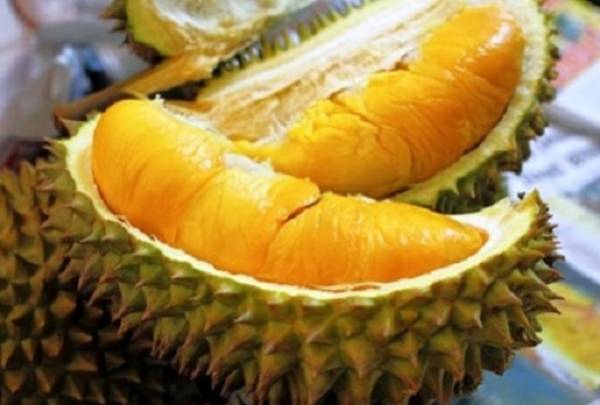 Shopee bekerjasama dengan FAMA untuk memperkasa pekebun dan penjual durian yang sah melalui kempen e-Fiesta Durian.
