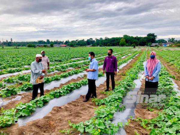 Che Abdullah (tiga dari kanan) bersama Hanifa (dua dari kanan) melawat tapak Projek Bersepadu Pertanian Banggol, Pertubuhan Peladang Kawasan (PPK) Pengkalan Chepa seluas 24 hektar di Kampung Banggol, Pengkalan Chepa, Kota Bharu pada Ahad. - Foto Sinar Harian