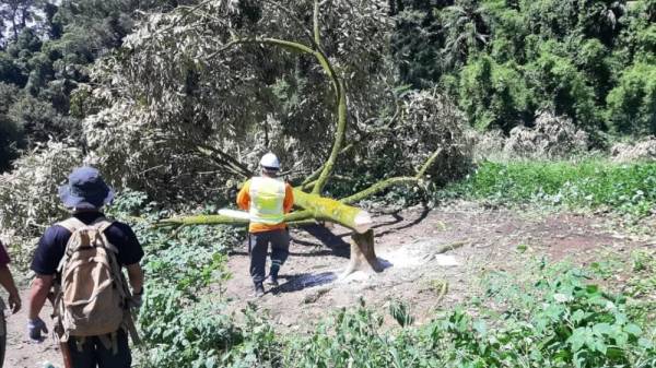 Jabatan Perhutanan Negeri Pahang (JPNP) tidak membenarkan pekebun memasuki kawasan Hutan Simpan Kekal (HSK) Batu Talam untuk mengambil barang yang tertinggal dalam kawasan tersebut.