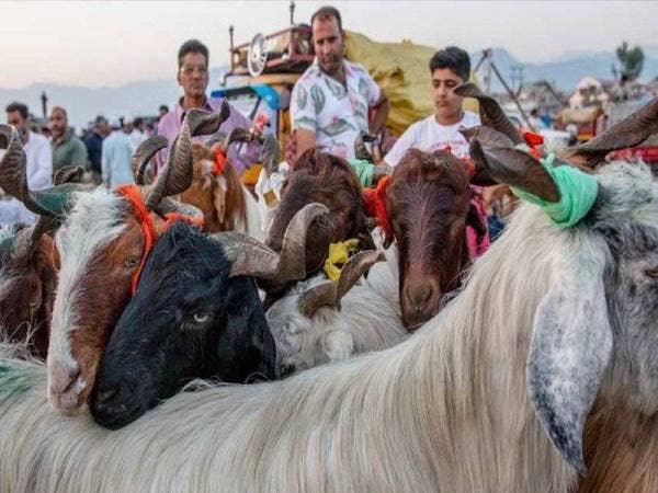 Arahan kontroversi terbaharu itu telah mencetuskan kemarahan masyarakat Muslim yang meliputi 70 peratus populasi di Kashmir. - Foto: Agensi