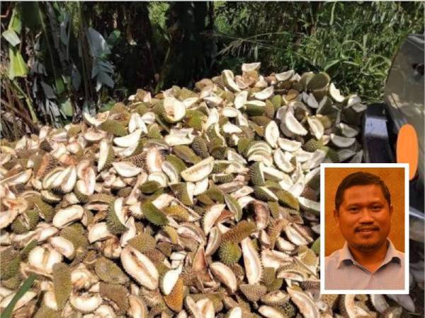 SWM Environment meminta orang ramai menguruskan sisa buah-buahan tempatan dengan berhemah sepanjang musim buah-buahan ini. Gambar hiasan (Gambar kecil: Mohd Norlisam)