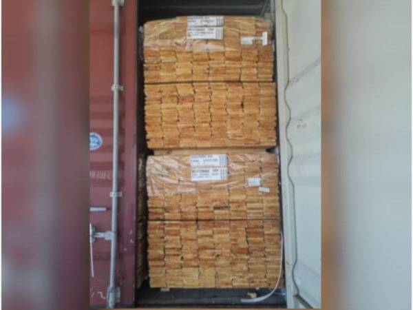 Kontena membawa muatan produk kayu dari Chile ditahan di Pelabuhan Tanjung Pelepas pada Rabu.