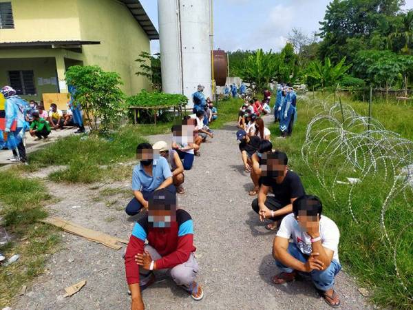Pemeriksaan yang dilakukan terhadap 243 pekerja warga asing di kawasan Perindustrian Besgrade, Pokok Sena pada Jumaat mendapati mereka semua mempunyai Pas Lawatan Kerja Sementara (PLKS) yang sah.