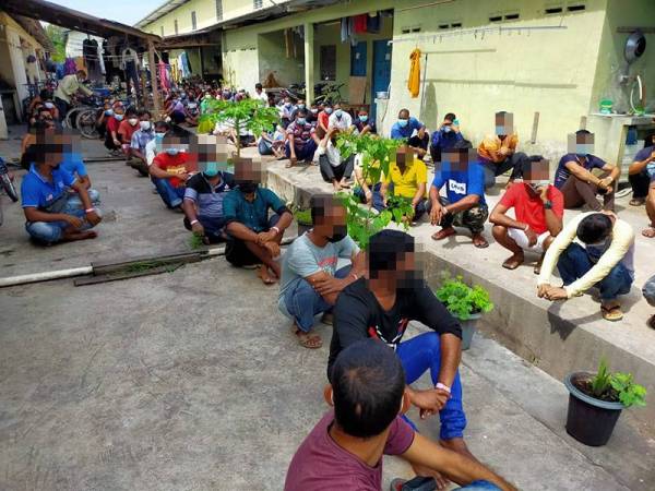 Pemeriksaan yang dilakukan terhadap 243 pekerja warga asing di kawasan Perindustrian Besgrade, Pokok Sena pada Jumaat mendapati mereka semua mempunyai Pas Lawatan Kerja Sementara (PLKS) yang sah.